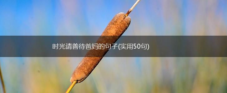 时光请善待爸妈的句子(实用50句),第1张