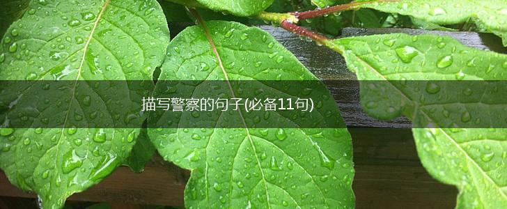 描写警察的句子(必备11句),第1张