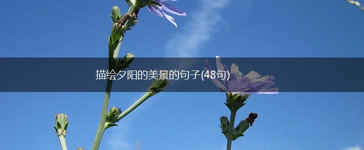 描绘夕阳的美景的句子(48句),第1张