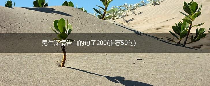 男生深情告白的句子200(推荐50句),第1张