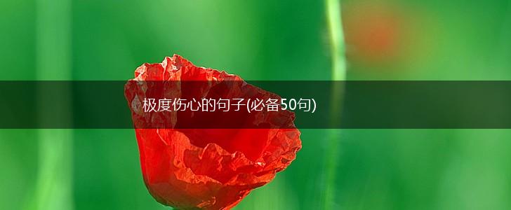 极度伤心的句子(必备50句),第1张