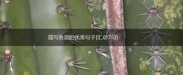 描写鱼池的优美句子(汇总7句),第1张