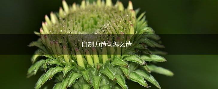 自制力造句怎么造,第1张 自制力造句怎么造,第1张