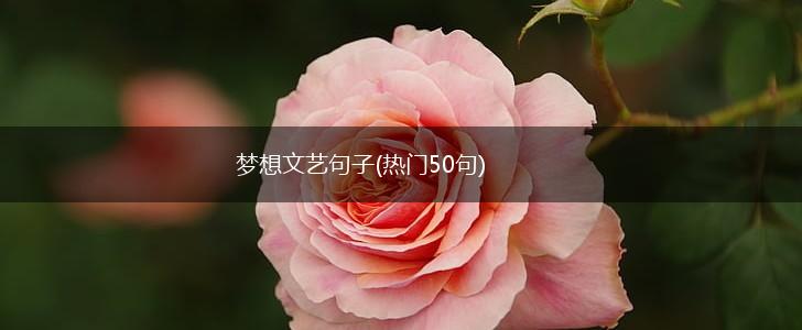 梦想文艺句子(热门50句),第1张