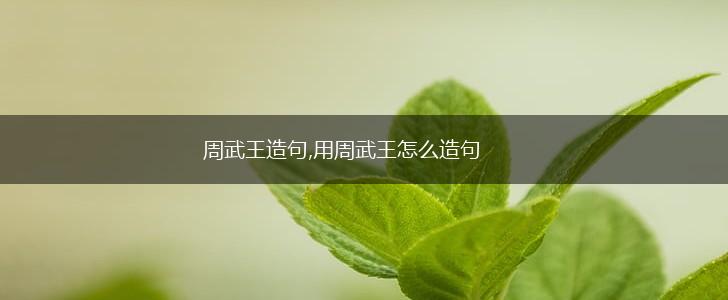 周武王造句,用周武王怎么造句,第1张