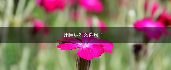 用自尽怎么造句子,第1张 用自尽怎么造句子,第1张