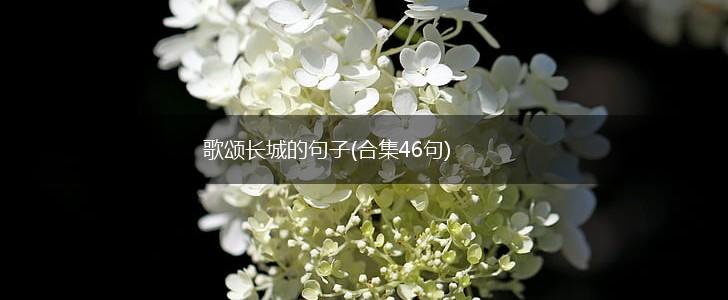 歌颂长城的句子(合集46句),第1张