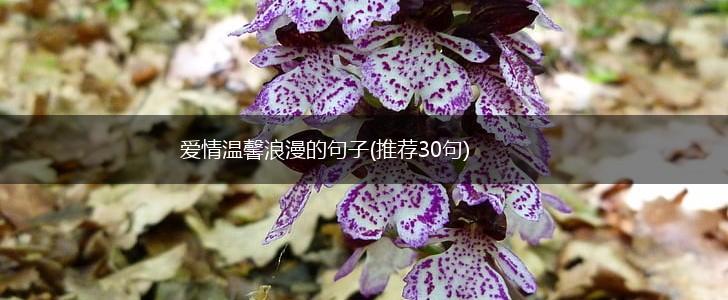 爱情温馨浪漫的句子(推荐30句),第1张