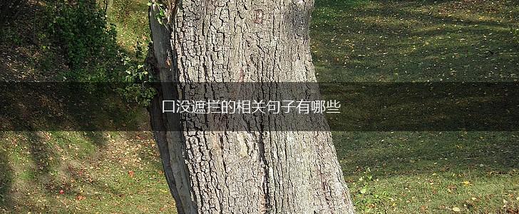 口没遮拦的相关句子有哪些,第1张 口没遮拦的相关句子有哪些,第1张