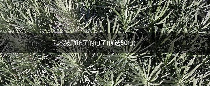 武术鼓励孩子的句子(优选50句),第1张
