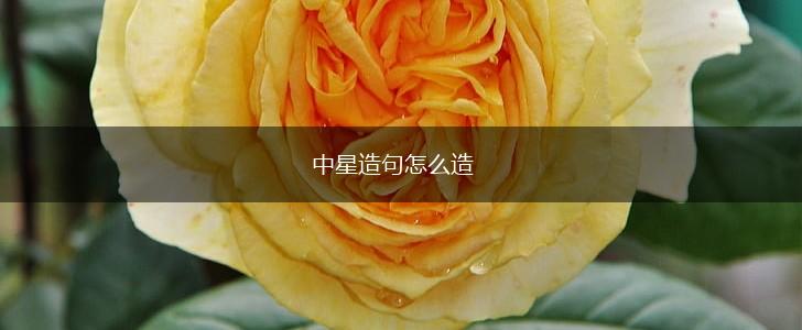 中星造句怎么造,第1张 中星造句怎么造,第1张