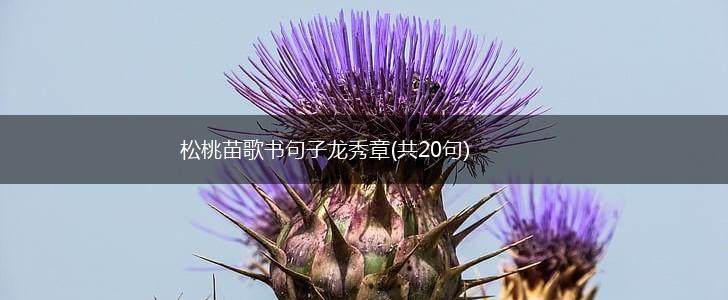 松桃苗歌书句子龙秀章(共20句),第1张