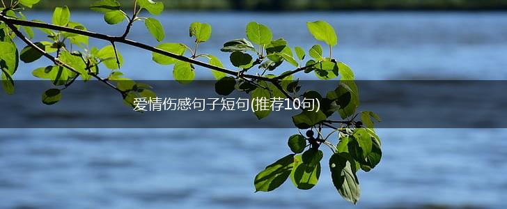 爱情伤感句子短句(推荐10句),第1张