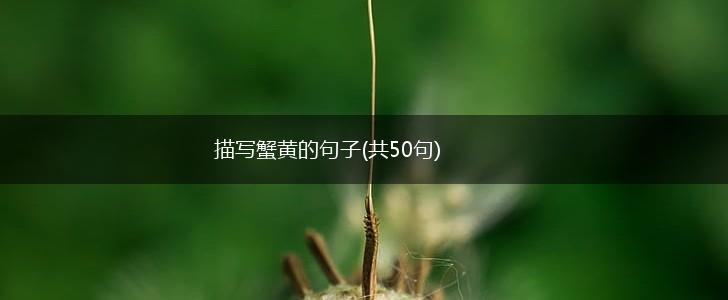 描写蟹黄的句子(共50句),第1张
