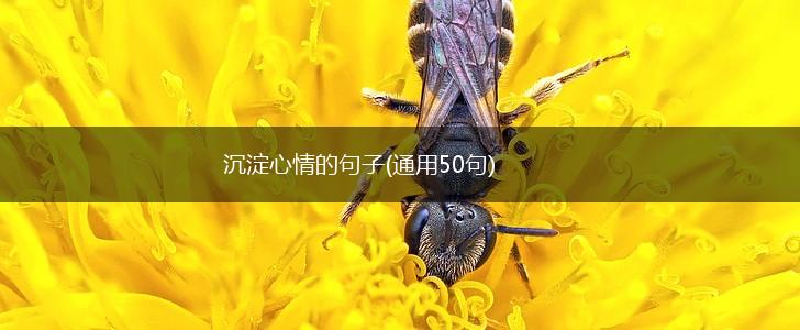沉淀心情的句子(通用50句),第1张