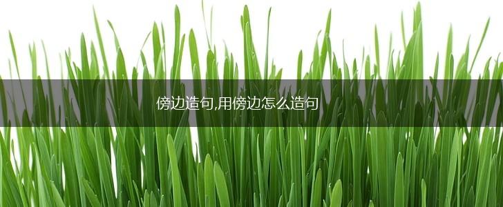 傍边造句,用傍边怎么造句,第1张 傍边造句,用傍边怎么造句,第1张
