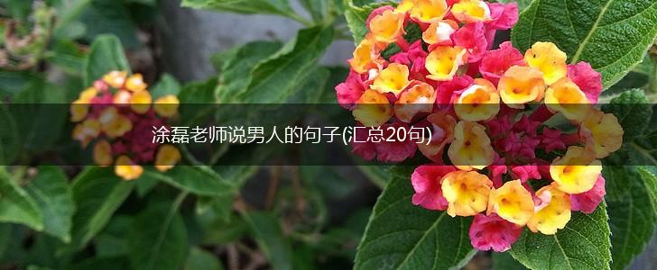 涂磊老师说男人的句子(汇总20句),第1张