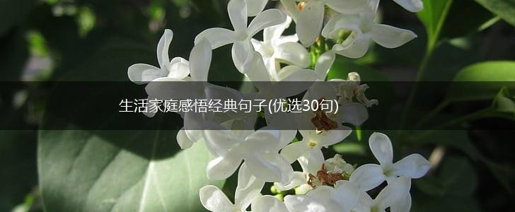 生活家庭感悟经典句子(优选30句),第1张