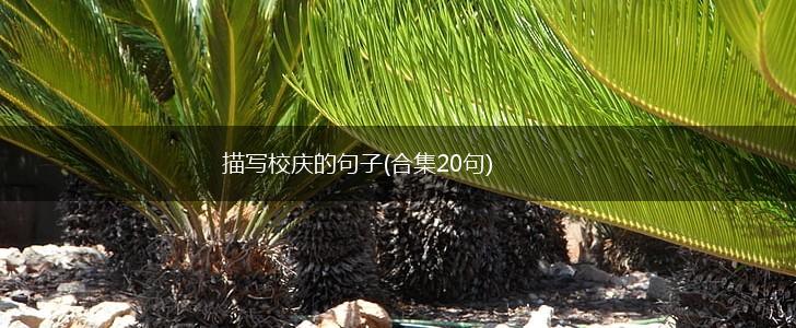描写校庆的句子(合集20句),第1张