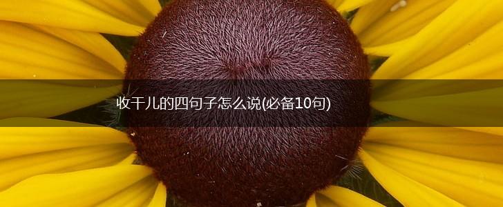 收干儿的四句子怎么说(必备10句),第1张