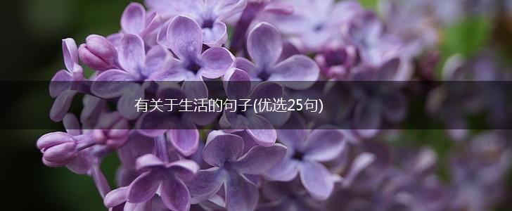 有关于生活的句子(优选25句),第1张