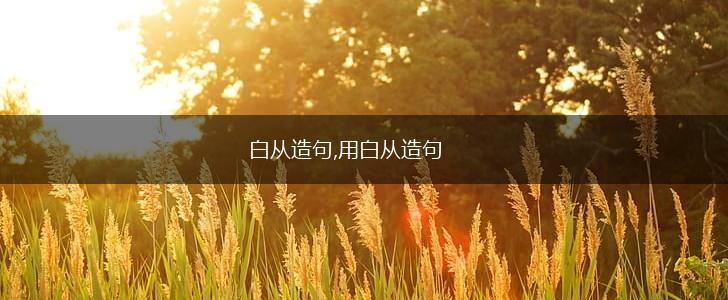 白从造句,用白从造句,第1张