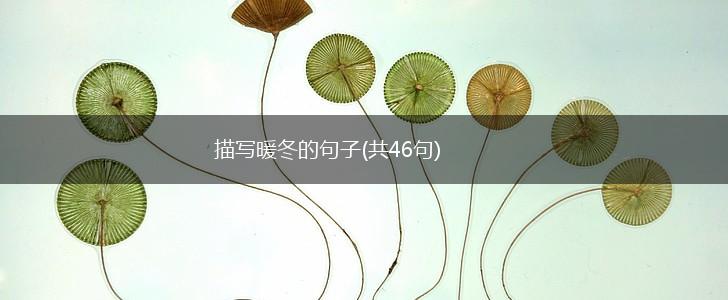 描写暖冬的句子(共46句),第1张