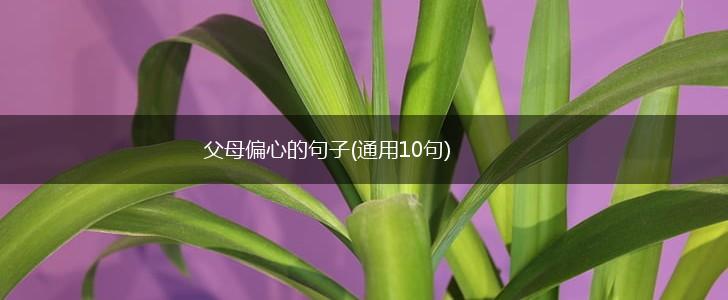 父母偏心的句子(通用10句),第1张