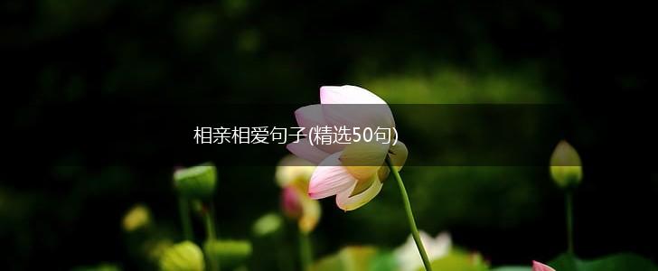 相亲相爱句子(精选50句),第1张