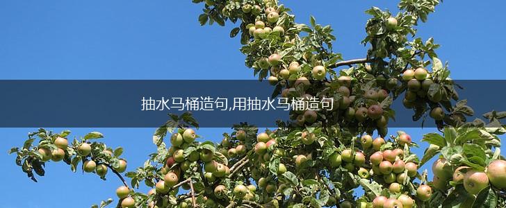 抽水马桶造句,用抽水马桶造句,第1张