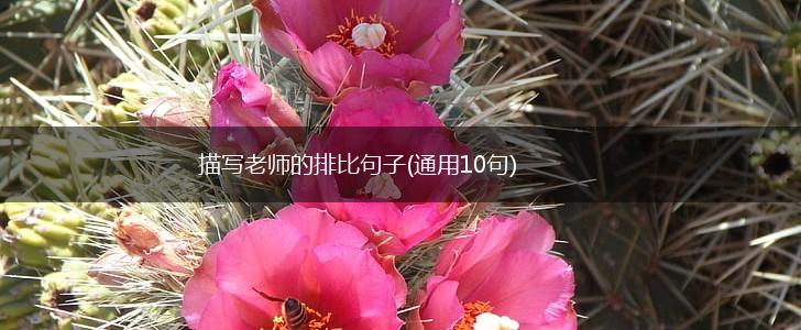描写老师的排比句子(通用10句),第1张