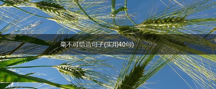 毫不可惜造句子(实用40句),第1张