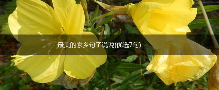 最美的家乡句子说说(优选7句),第1张