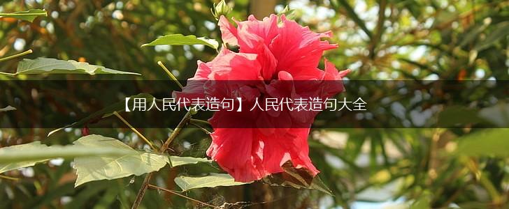 【用人民代表造句】人民代表造句大全,第1张 【用人民代表造句】人民代表造句大全,第1张