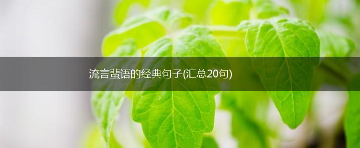 流言蜚语的经典句子(汇总20句),第1张
