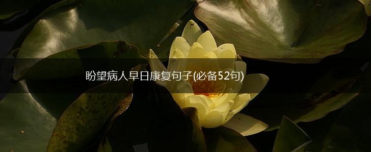 盼望病人早日康复句子(必备52句),第1张