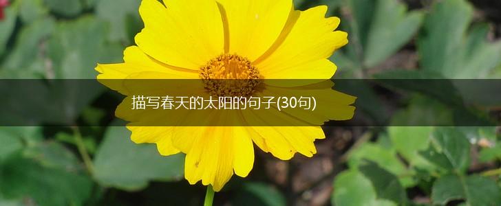 描写春天的太阳的句子(30句),第1张