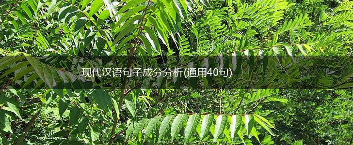 现代汉语句子成分分析(通用40句),第1张