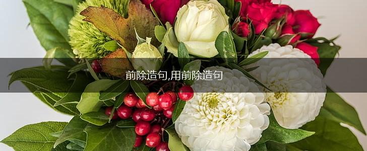 前除造句,用前除造句,第1张