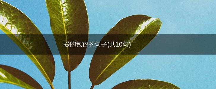 爱的包容的句子(共10句),第1张