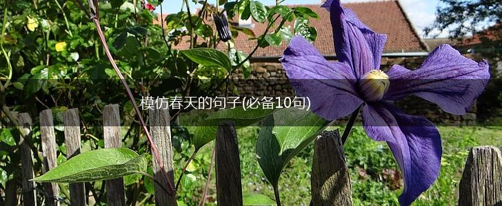 模仿春天的句子(必备10句),第1张