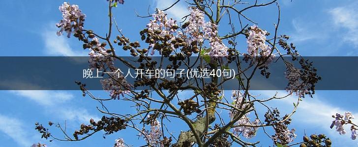 晚上一个人开车的句子(优选40句),第1张