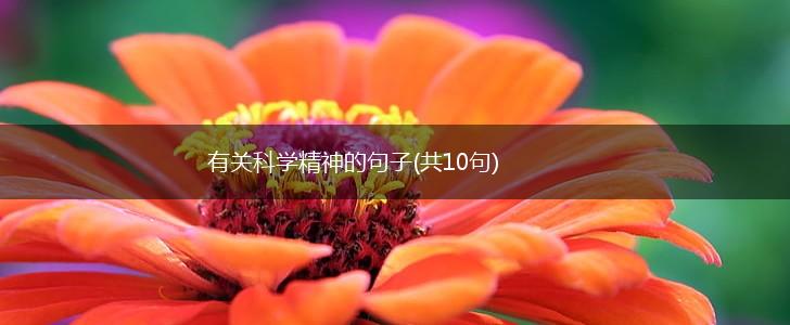 有关科学精神的句子(共10句),第1张