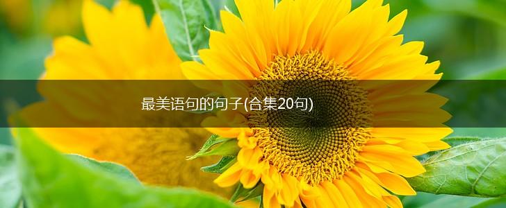最美语句的句子(合集20句),第1张