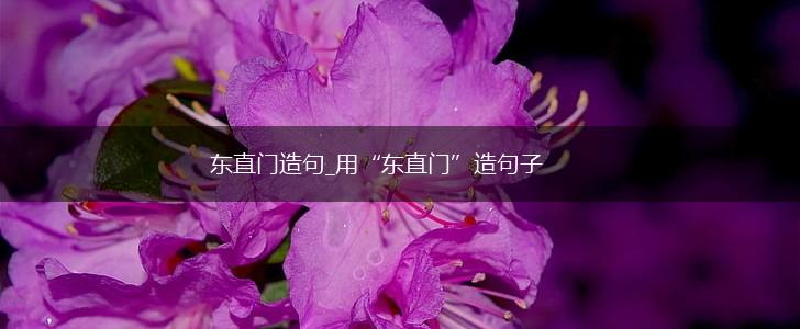 东直门造句_用“东直门”造句子,第1张 东直门造句_用“东直门”造句子,第1张