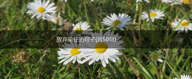 放弃前任的句子(共50句),第1张