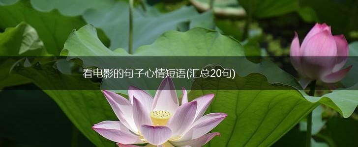 看电影的句子心情短语(汇总20句),第1张
