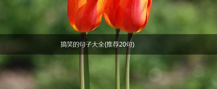 搞笑的句子大全(推荐20句),第1张