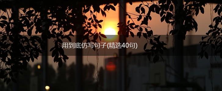 用到底仿写句子(精选40句),第1张