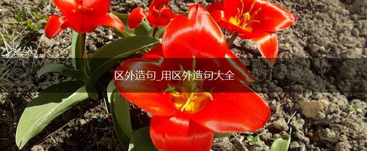 区外造句_用区外造句大全,第1张